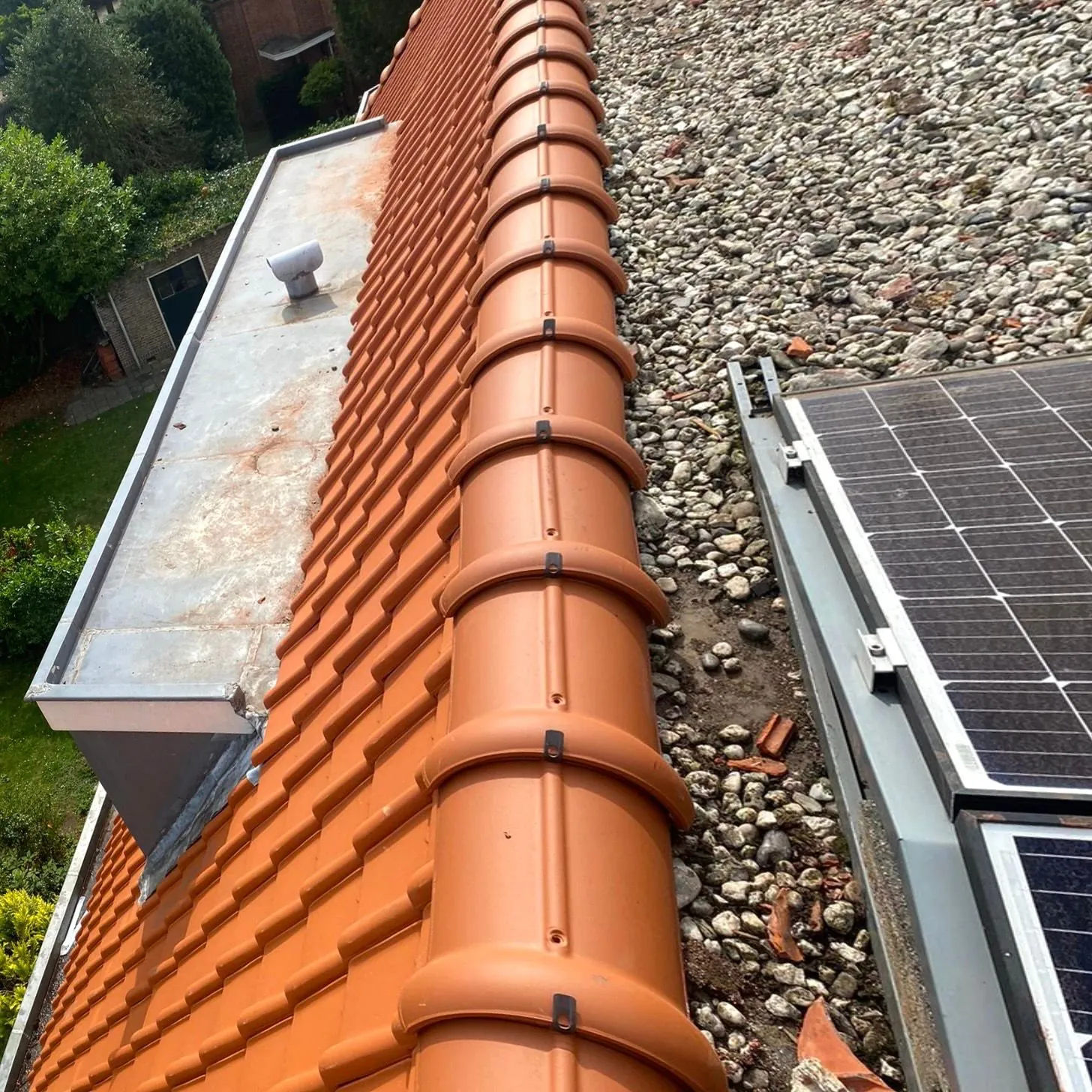 Oranje nokpannen langs een rij zonnepanelen